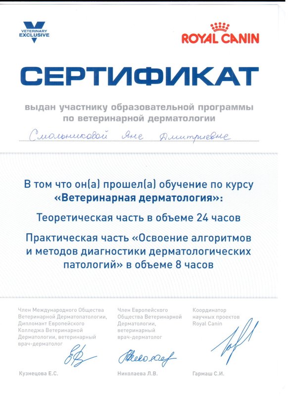 Документ или сертификат