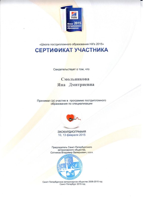 Документ или сертификат