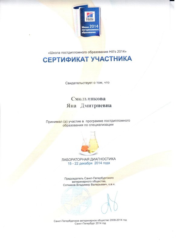 Документ или сертификат