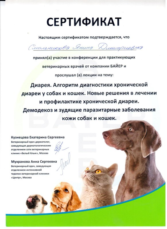 Документ или сертификат