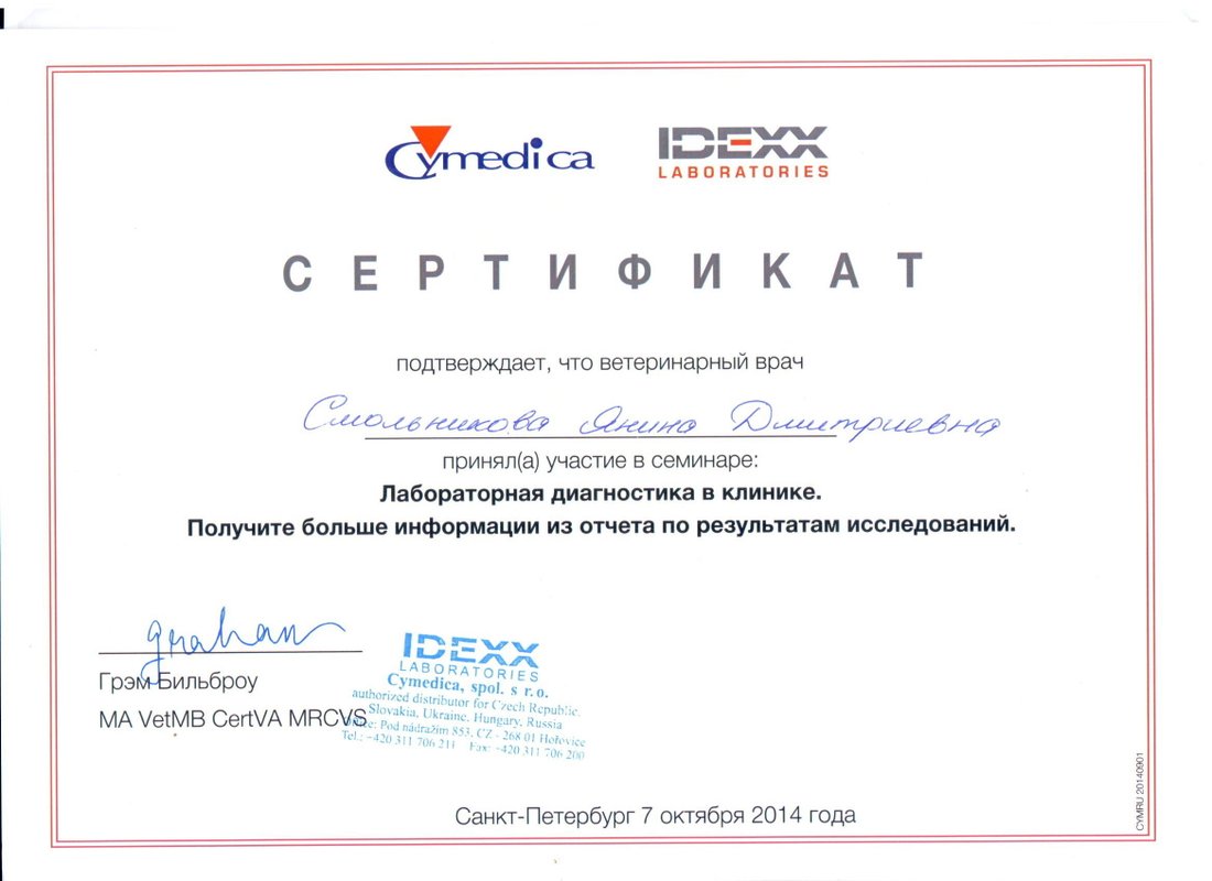 Документ или сертификат