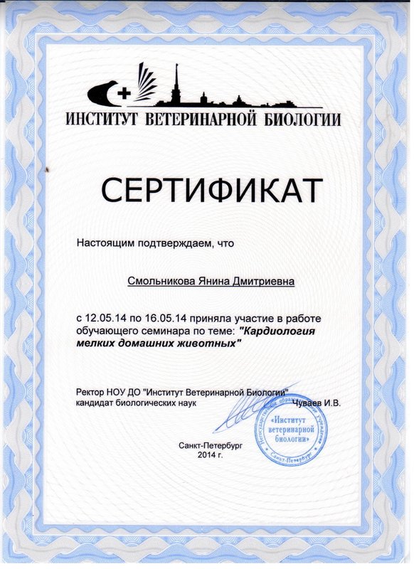 Документ или сертификат