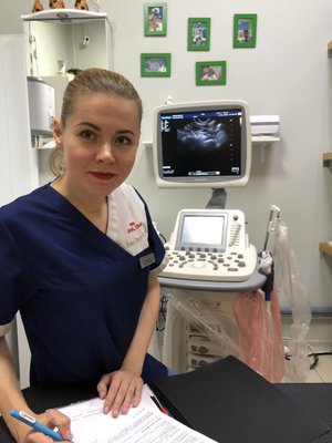 Фото врача Елена Камлык