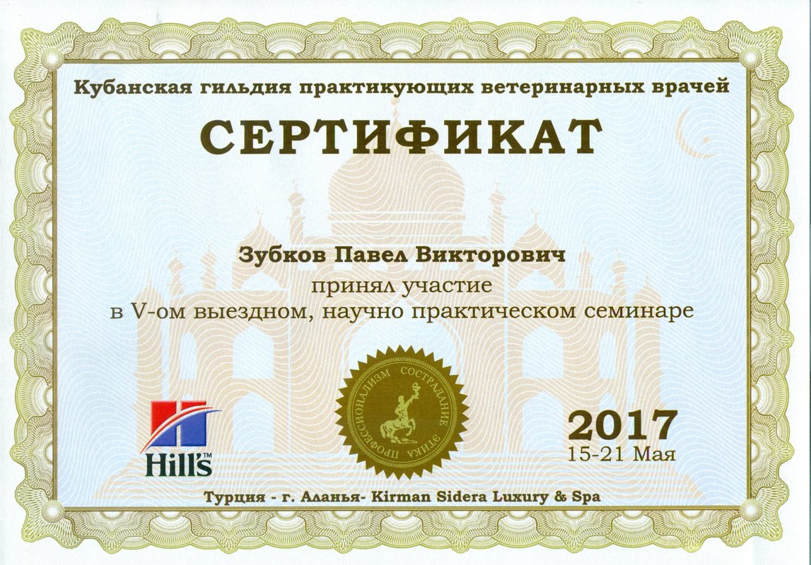 Документ или сертификат