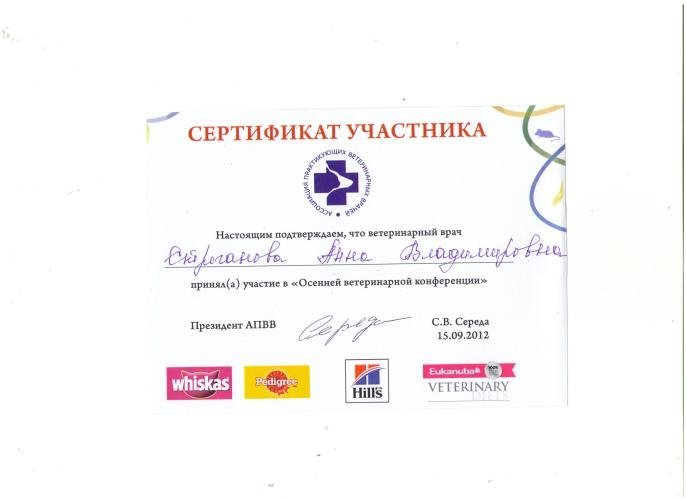 Документ или сертификат