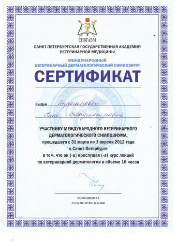 Документ или сертификат