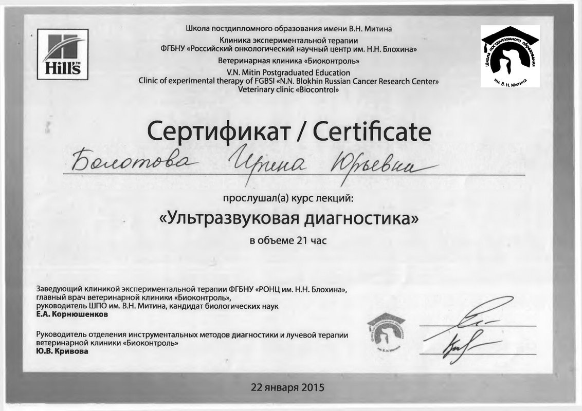Документ или сертификат