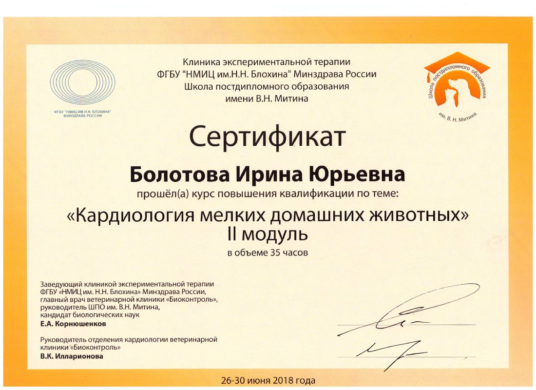 Документ или сертификат