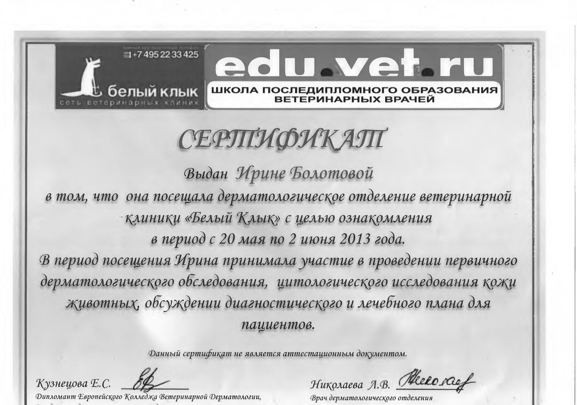Документ или сертификат