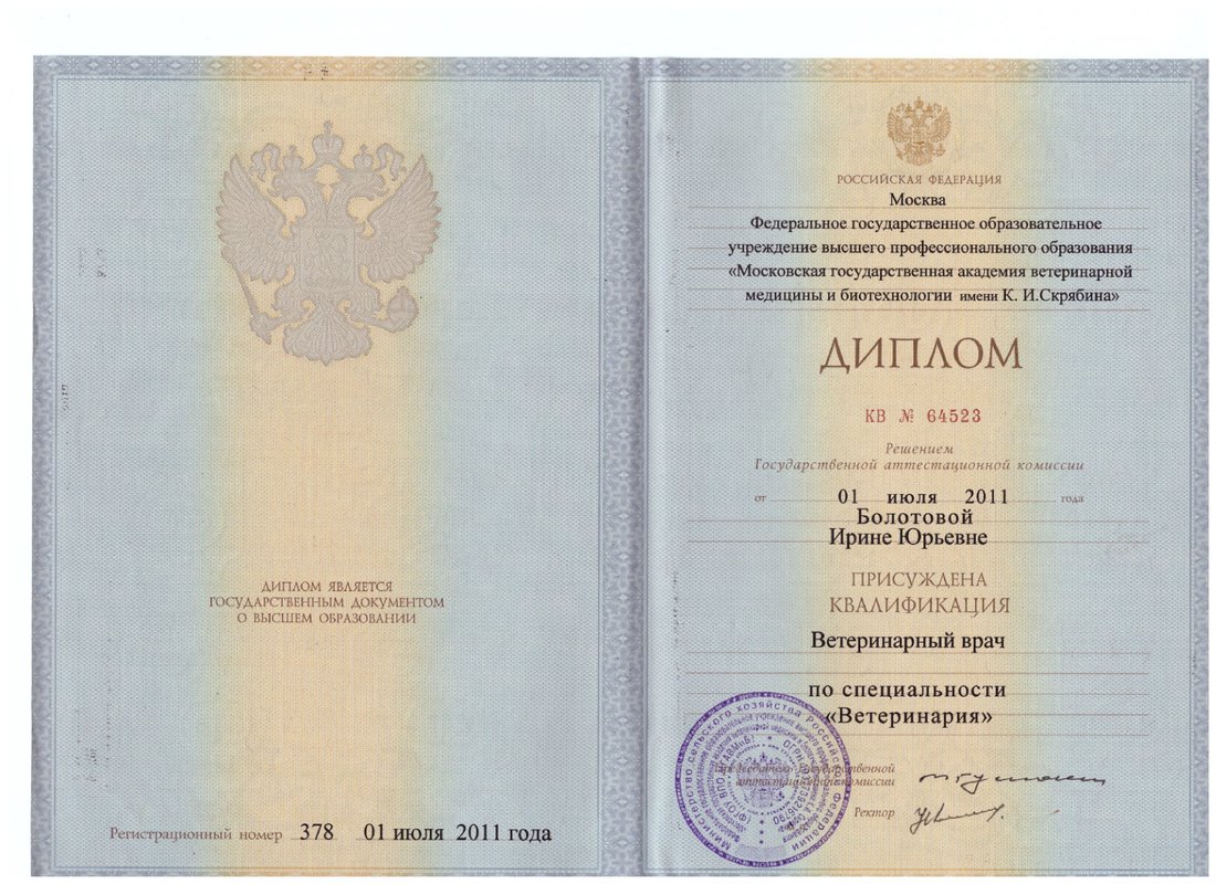 Документ или сертификат