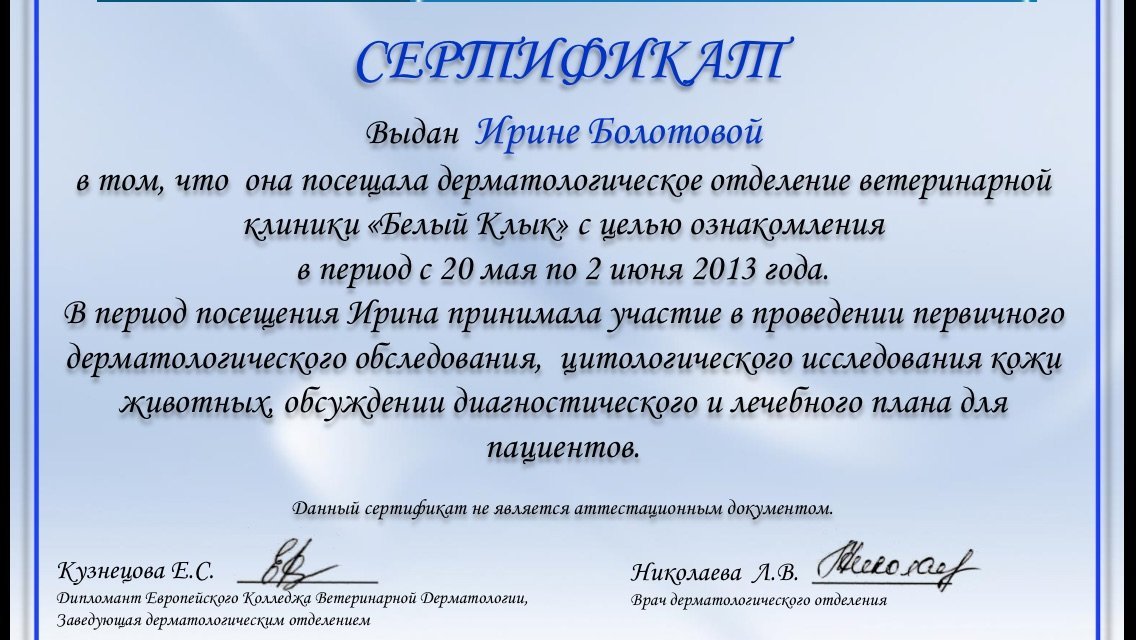 Документ или сертификат
