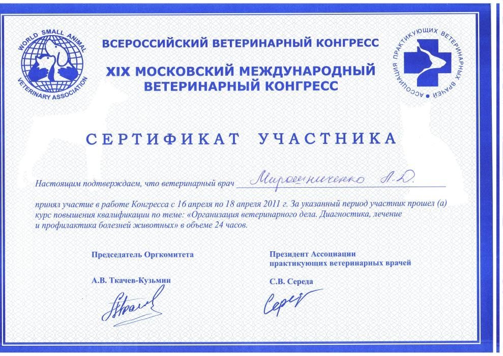 Документ или сертификат