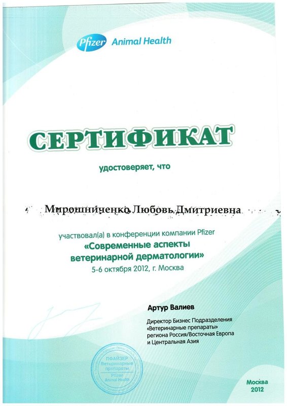 Документ или сертификат