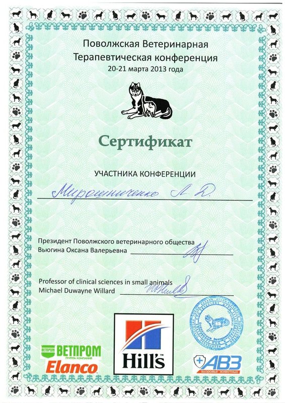 Документ или сертификат