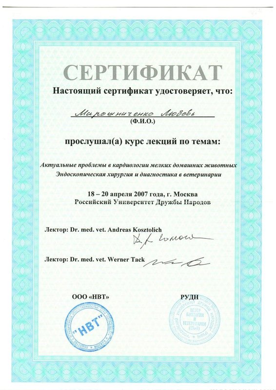 Документ или сертификат