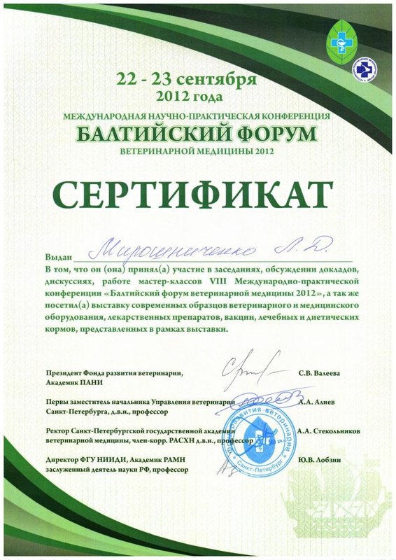 Документ или сертификат