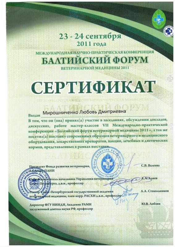 Документ или сертификат
