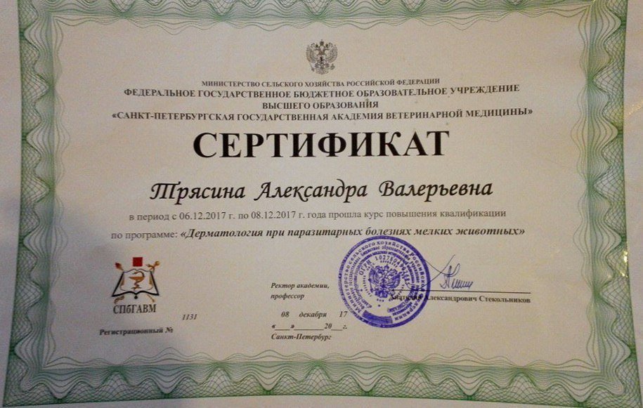 Документ или сертификат