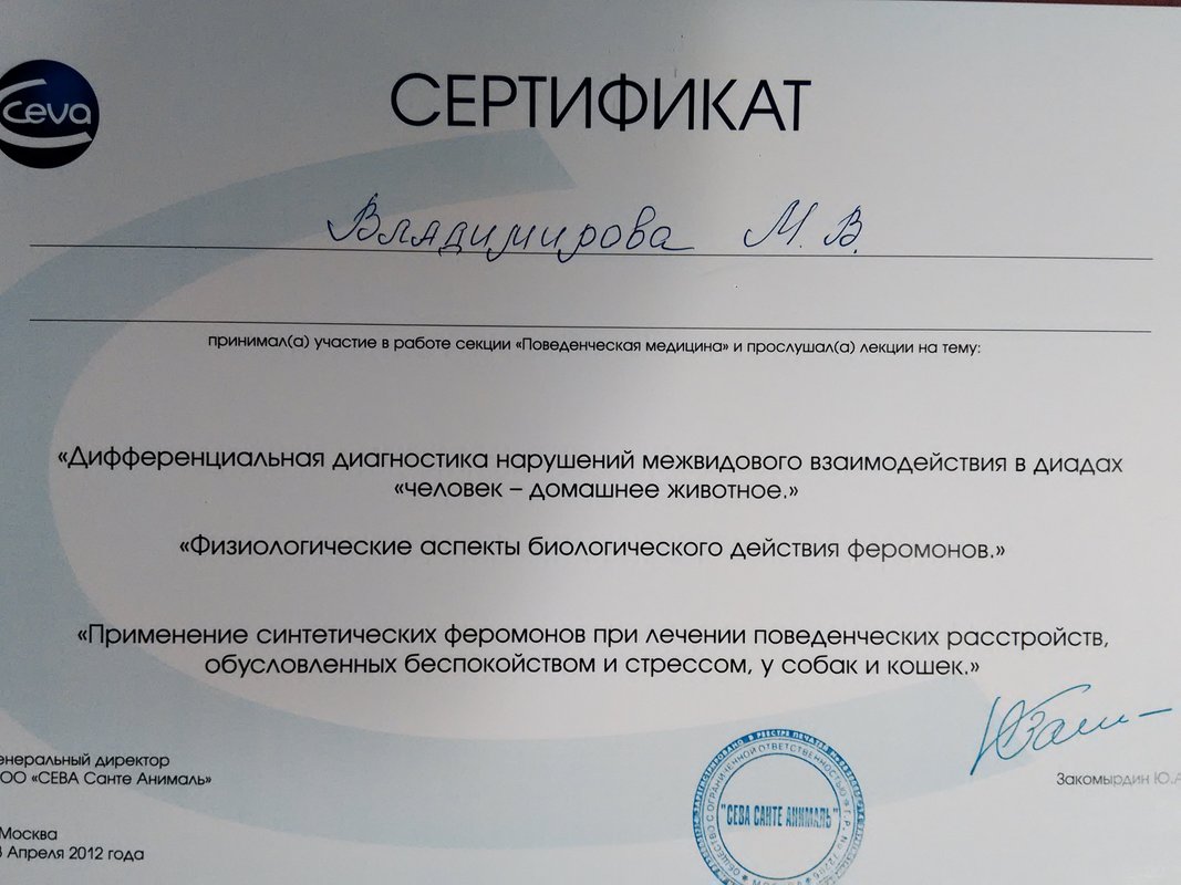 Документ или сертификат