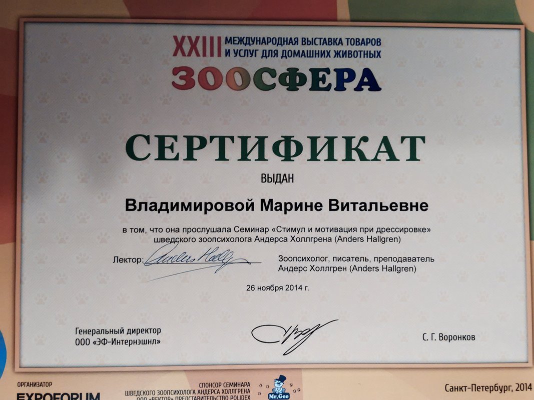 Документ или сертификат