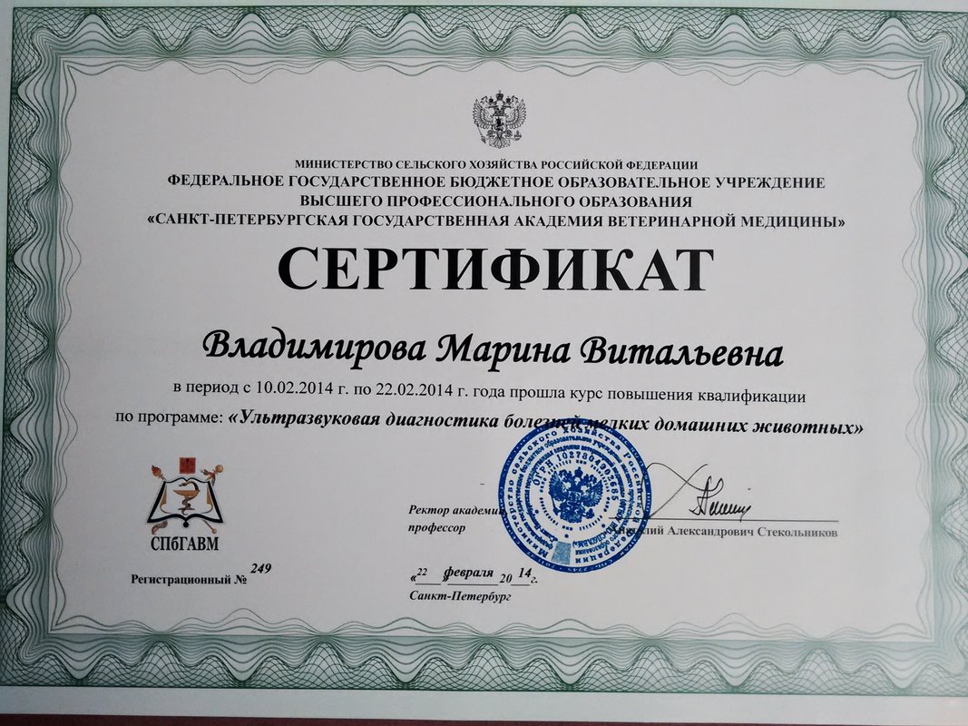 Документ или сертификат