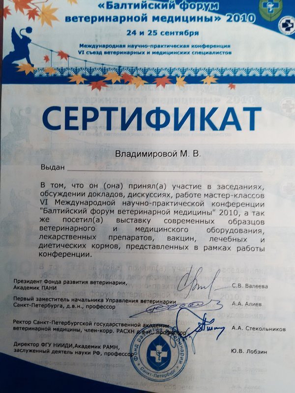 Документ или сертификат