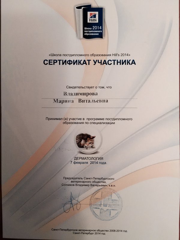 Документ или сертификат