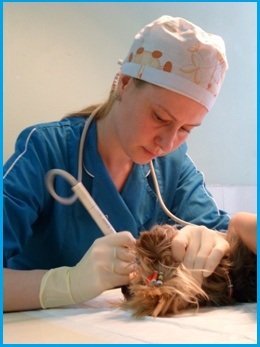 Фото врача Белова Ирина Ивановна