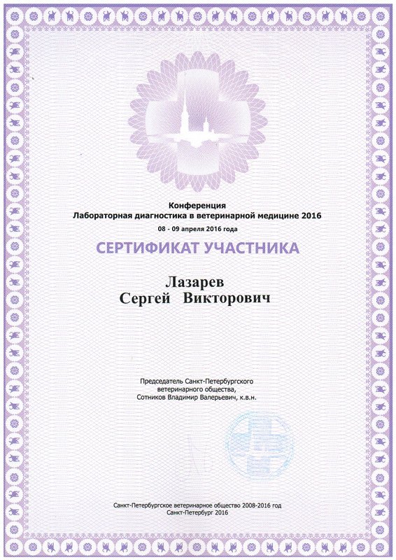 Документ или сертификат