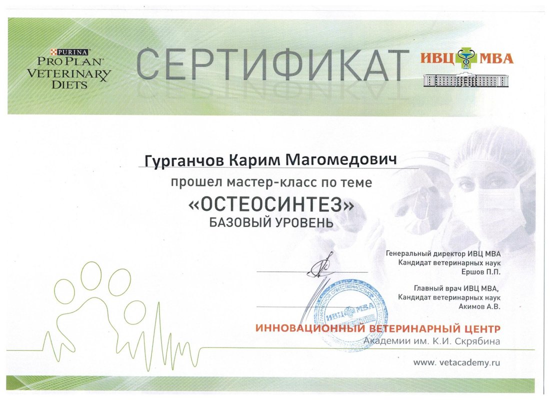 Документ или сертификат