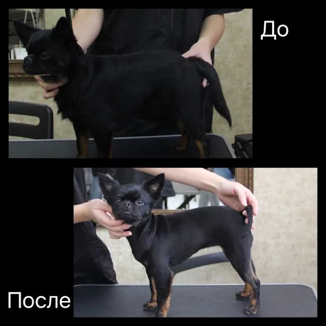 Фото врача