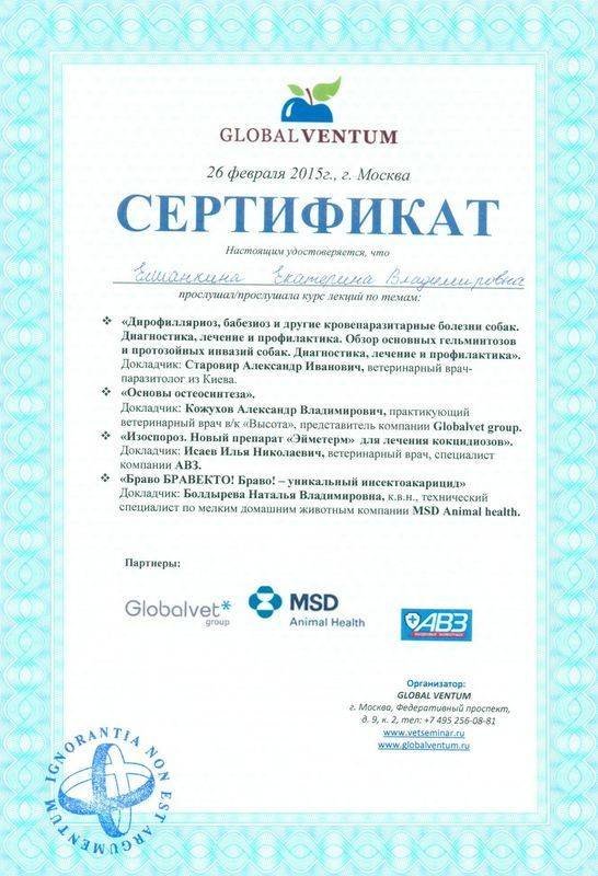 Документ или сертификат