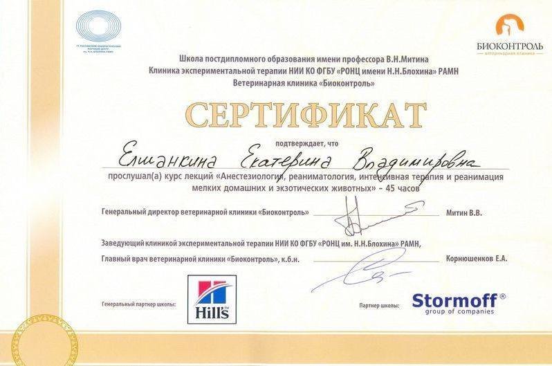 Документ или сертификат