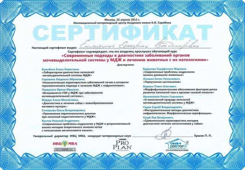 Документ или сертификат