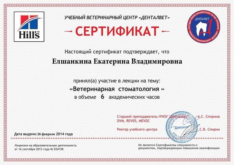 Документ или сертификат