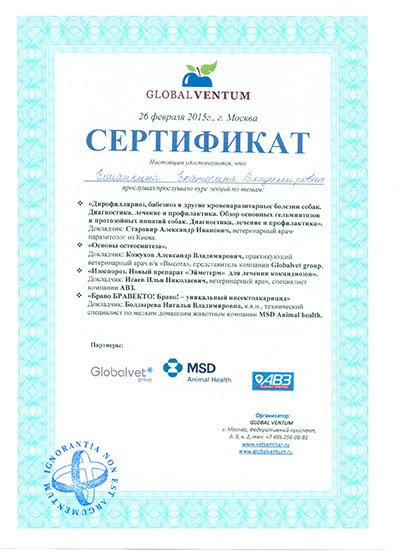 Документ или сертификат