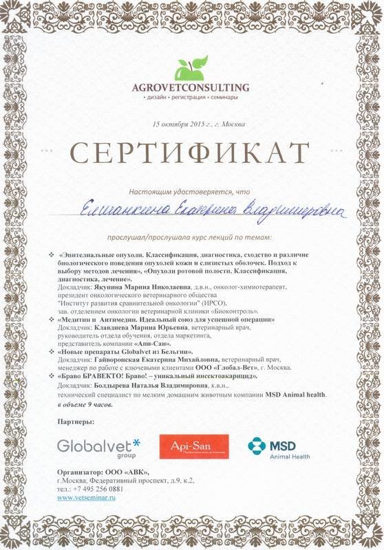 Документ или сертификат