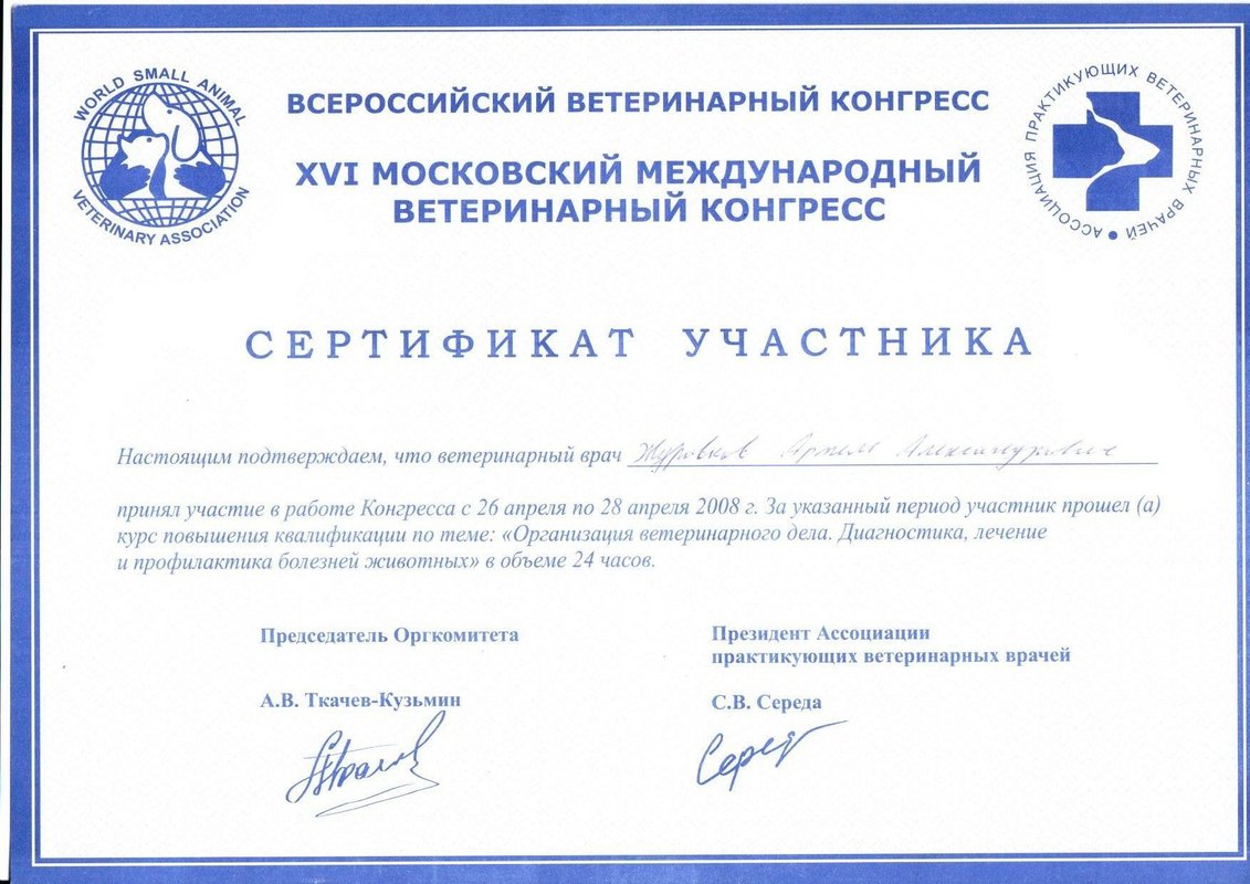 Документ или сертификат