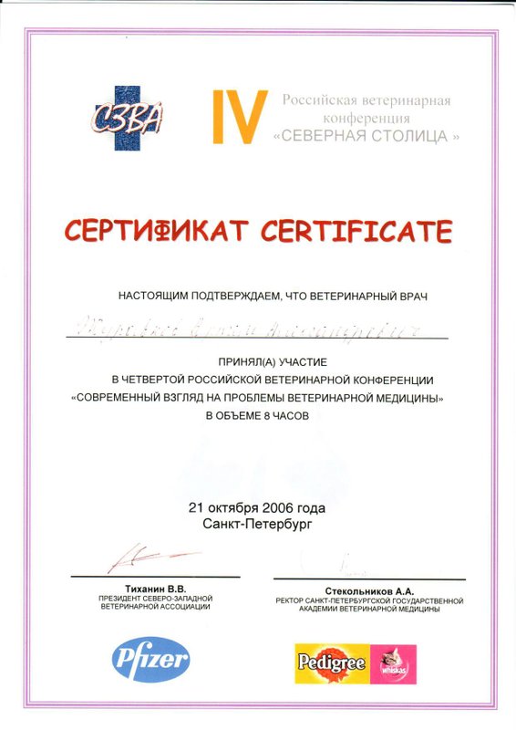 Документ или сертификат