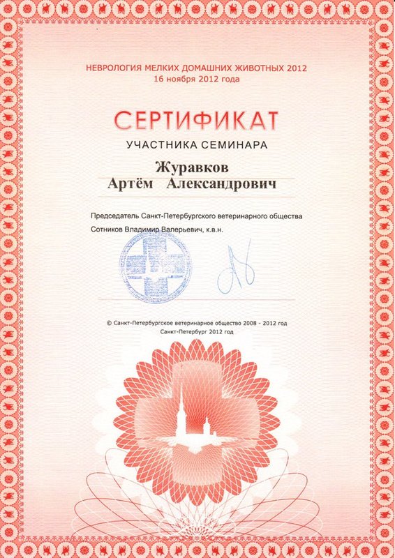 Документ или сертификат