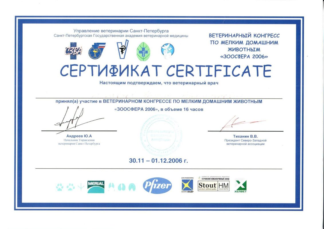 Документ или сертификат