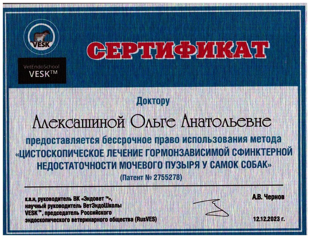 Документ или сертификат