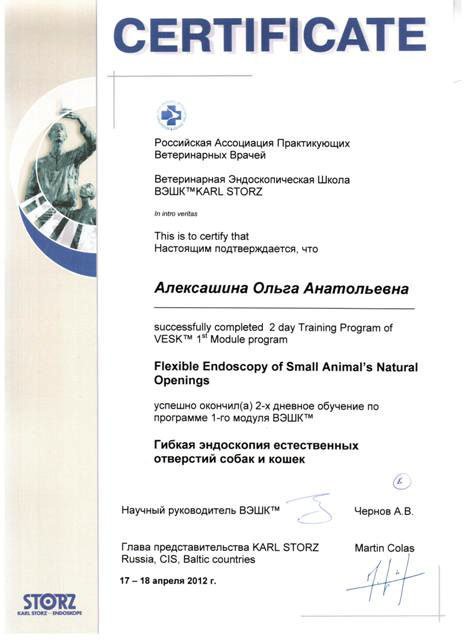 Документ или сертификат