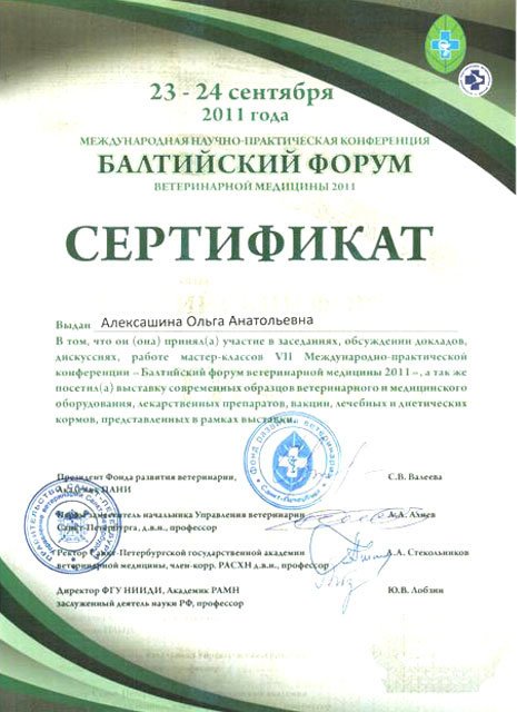 Документ или сертификат