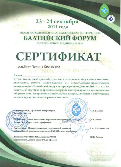 Документ или сертификат