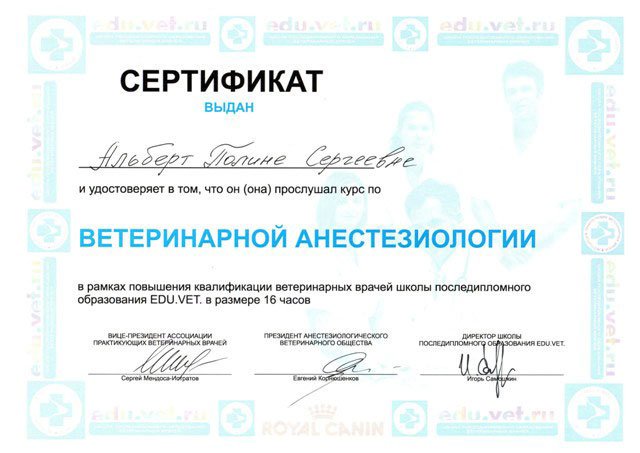 Документ или сертификат