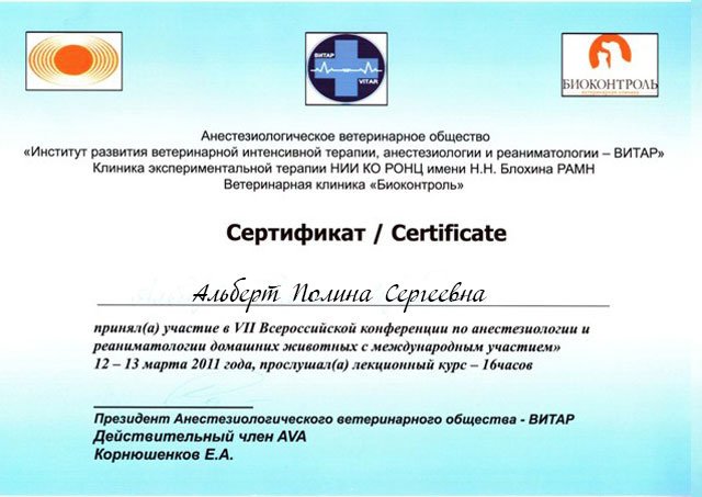Документ или сертификат