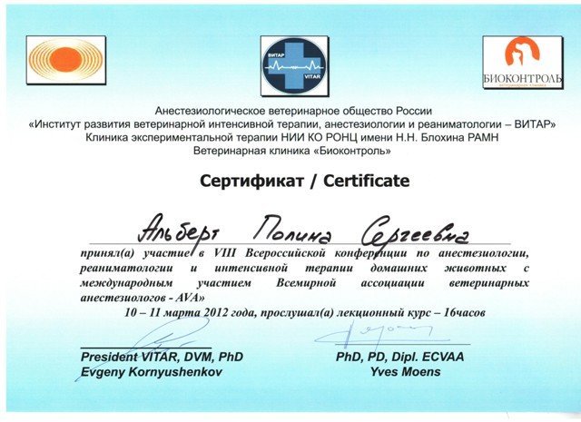 Документ или сертификат