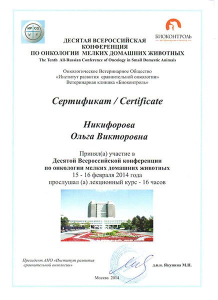 Документ или сертификат