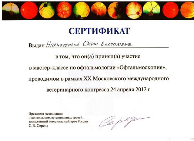 Документ или сертификат